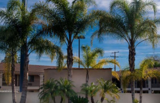 Burbank Inn & Suites