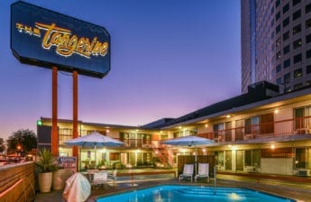 The Tangerine Night Shot