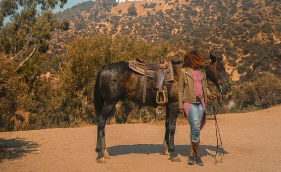 Hollywood Sign Horseback Riding
