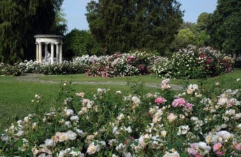 Huntington Library, Art Collections & Botanical Gardens | Visit Burbank