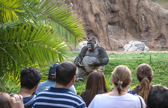 Los Angeles Zoo and Botanical Gardens