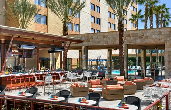 EDB - Eat, Drink, Be Pool