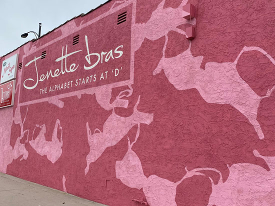 Jenette Bras