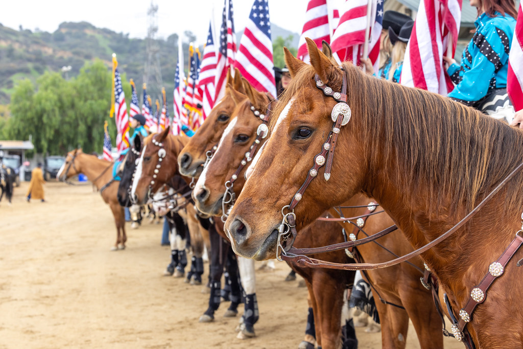 Equestfest horse line up with American flags