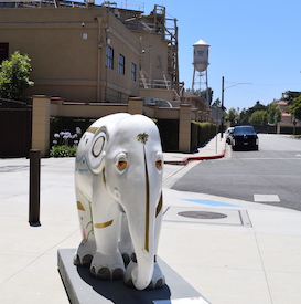 Cali Elephant at Warner Bros Studio Tour Hollywood with tower in background