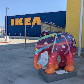 Surprise Elephant on the sidewalk of IKEA with sign in background
