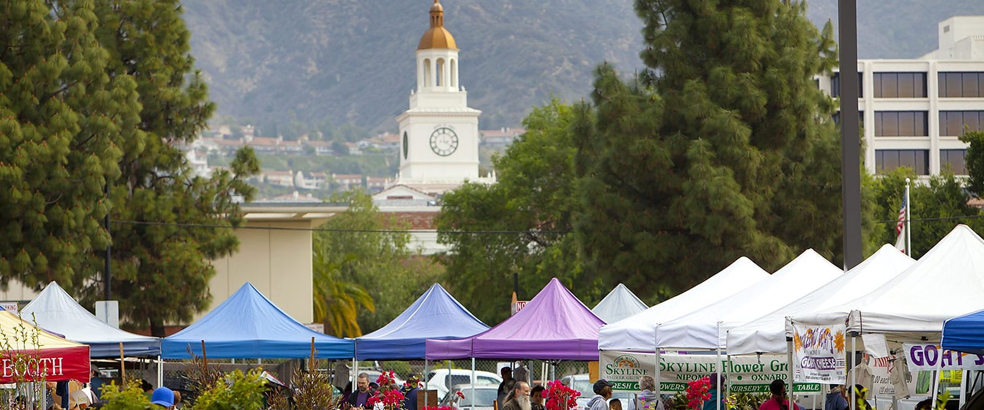 Colorful market tents and flower stalls beneath a white clock tower, with the mountains behind