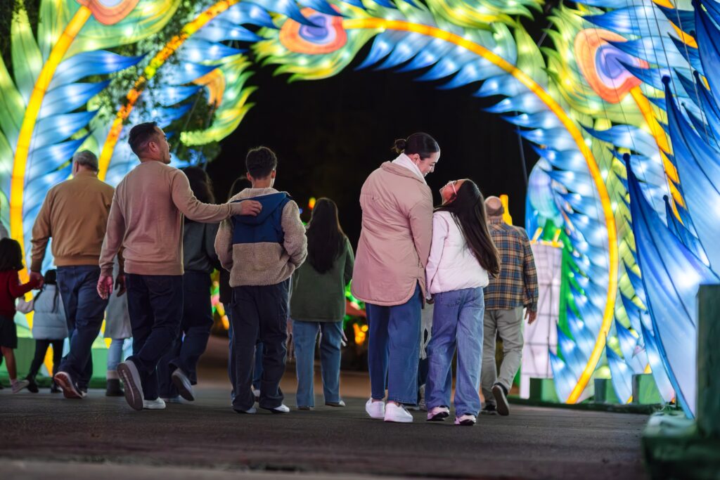 Families walking under an illuminated arch of animal lanterns