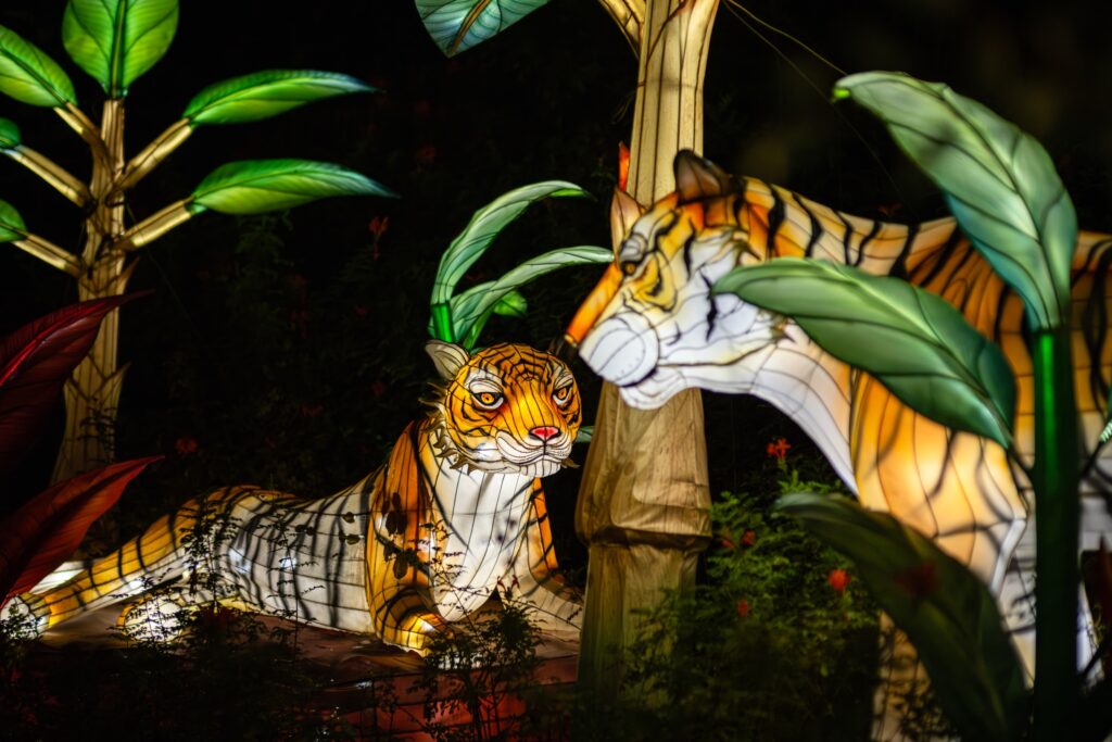Glowing Sumatran tiger lanterns among lit jungle leaves